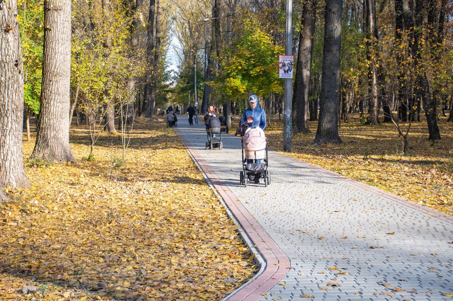 У Франківську збільшать територію парку «Молодіжний» на 1 га