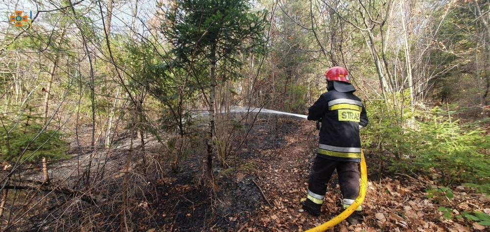 В прикарпатському лісі вогнеборці ліквідували пожежу сухої трави ФОТО