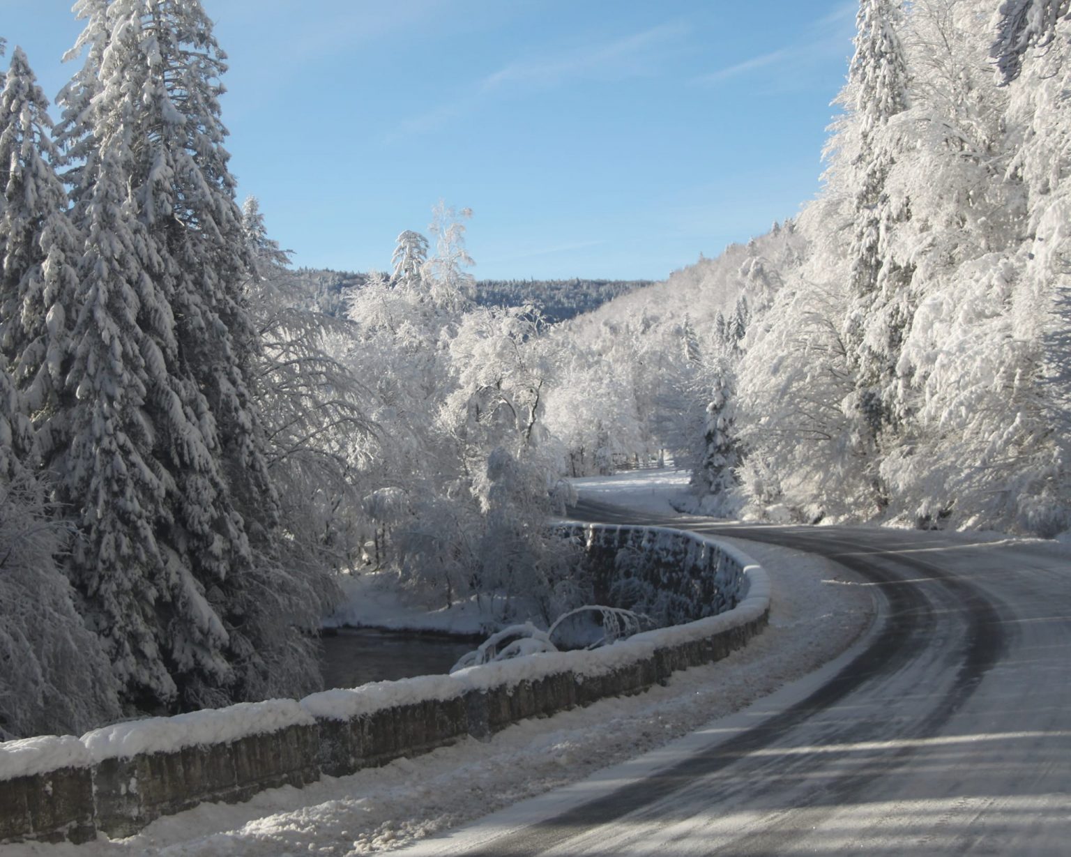 Зимова казка: прикарпатці діляться світлинами засніжених краєвидів