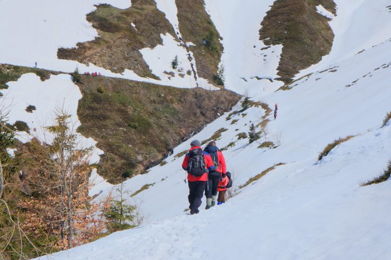 У Карпатах заблукали троє чоловіків. Двоє вийшли на зв'язок, місце знаходження третього невідоме