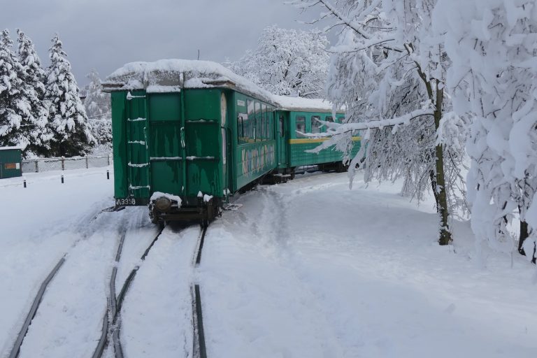 Франківський фотограф виклав у мережу чарівні фото Вигодської вузькоколійки