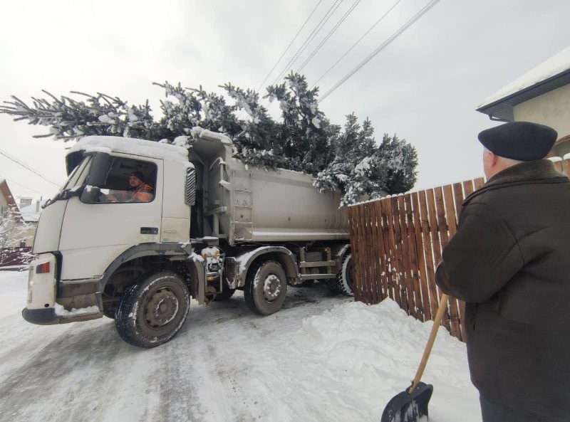 У Богородчанах розпочали роботи зі встановлення головної новорічної ялинки ФОТО