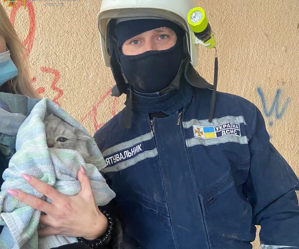 У Франківську з вентиляційної шахти врятували кошеня
