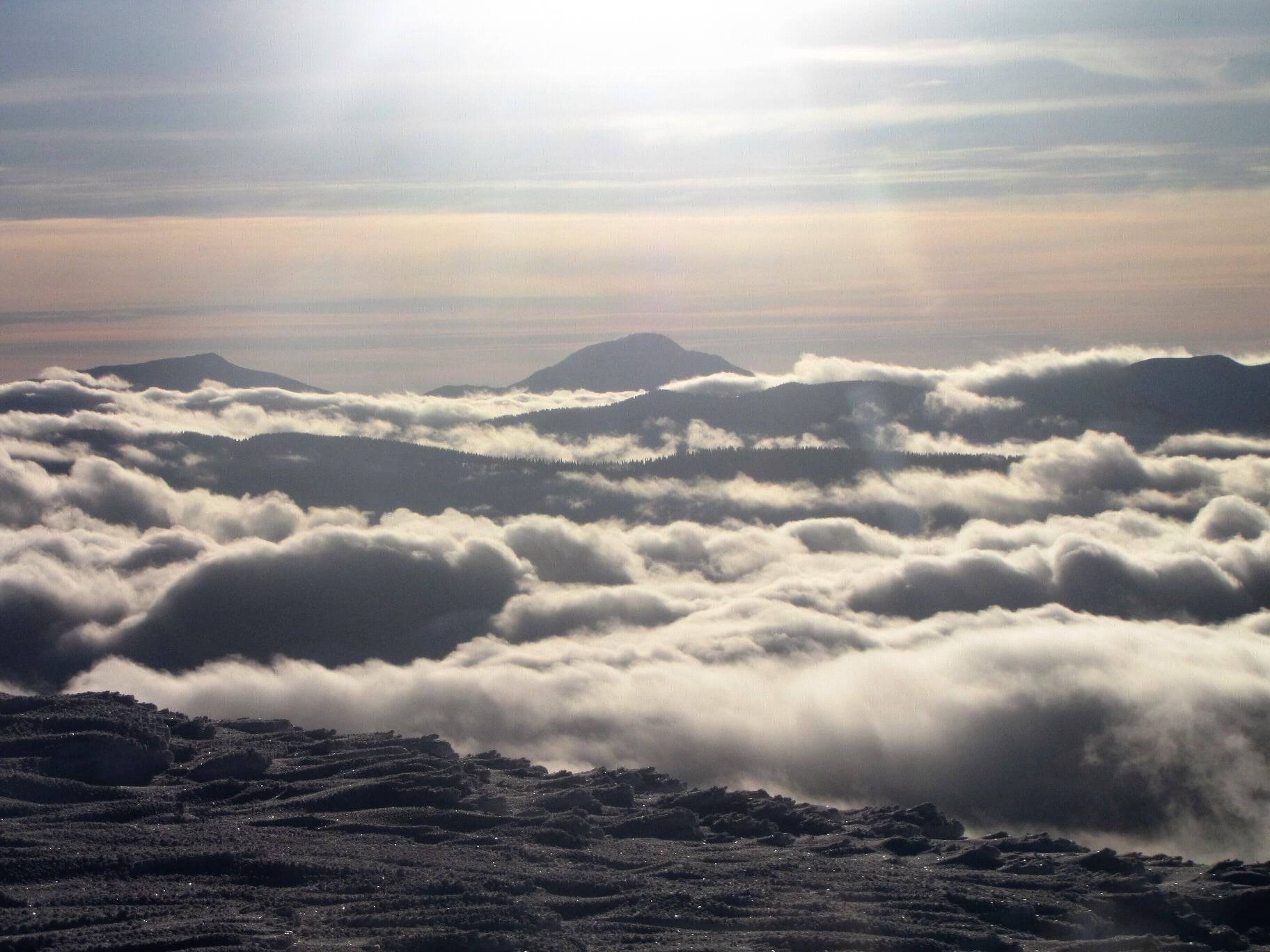 засніжених Карпат
