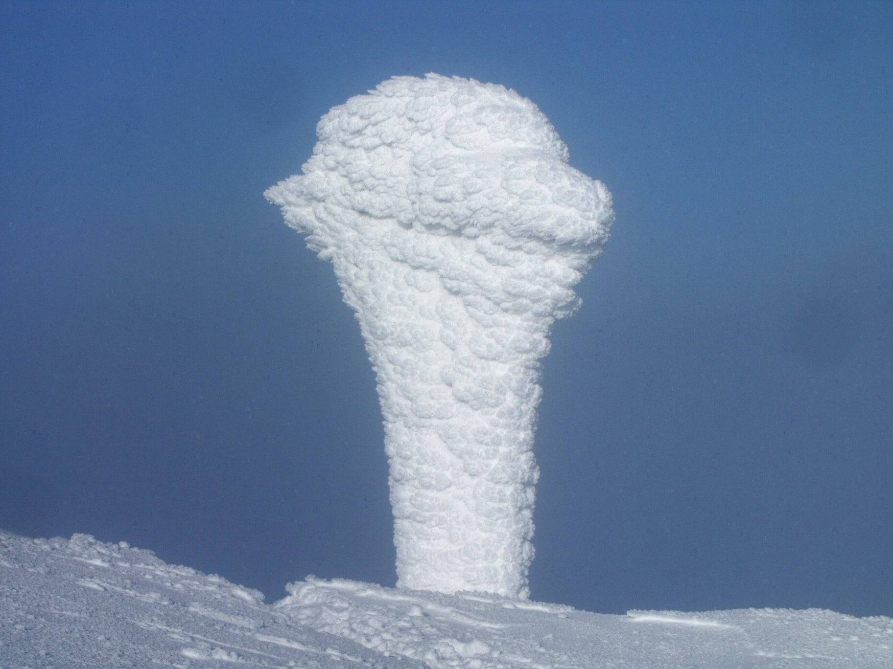 засніжених Карпат