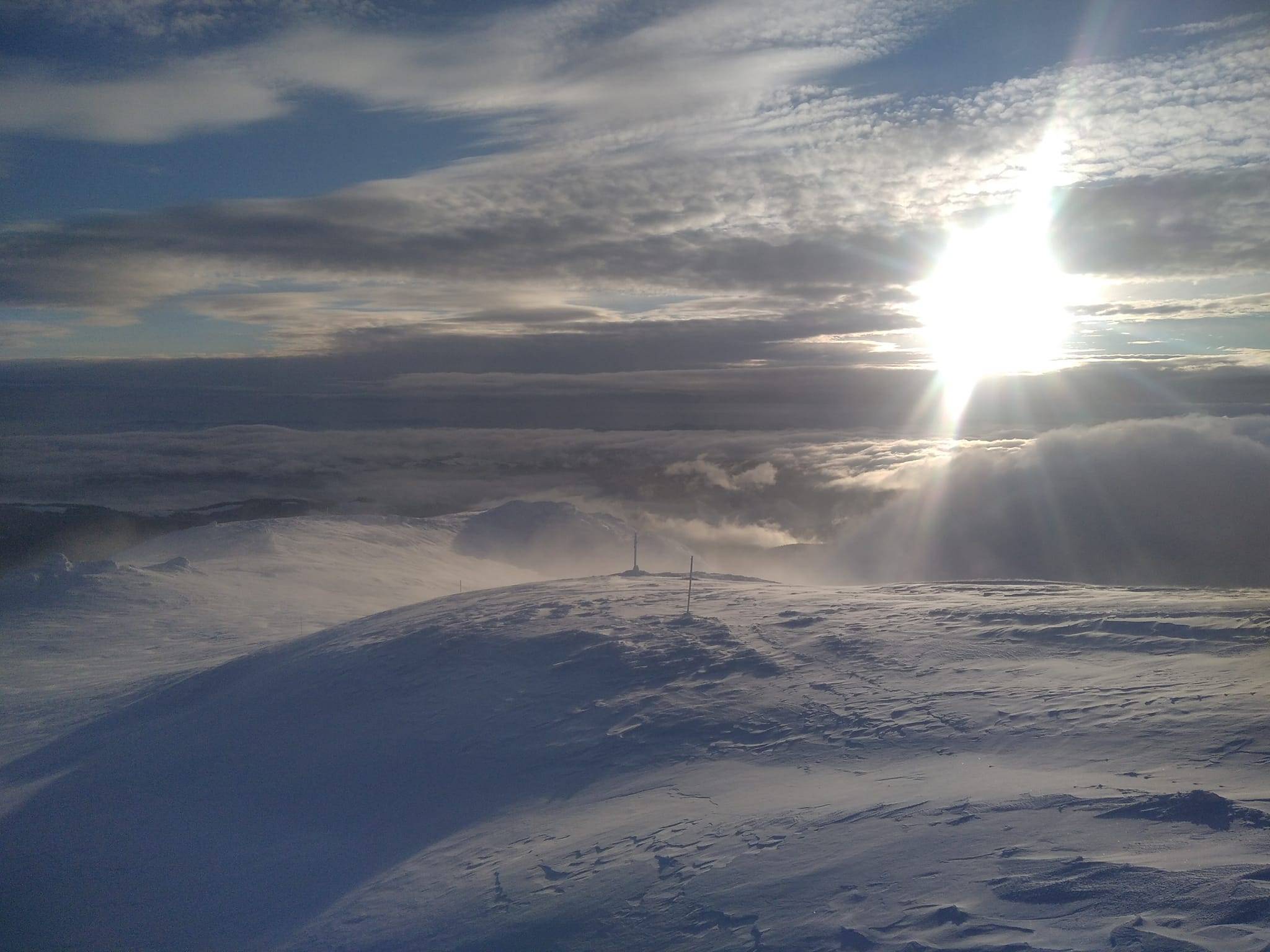 засніжених Карпат