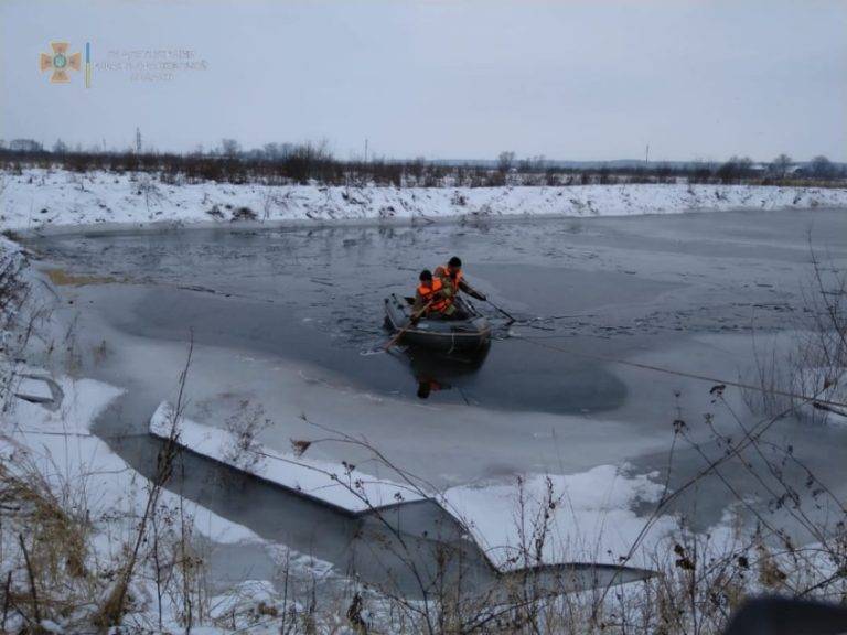 У Калуші надзвичайники рятували лебедів