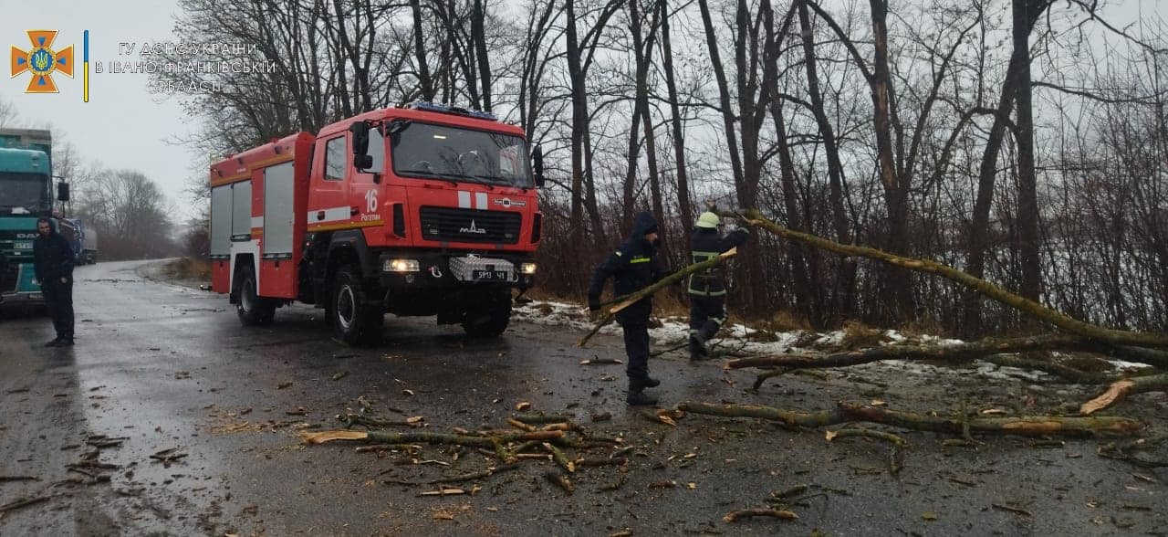 Негода валила дерева на Франківщині: вони падали на автомобілі та на дороги