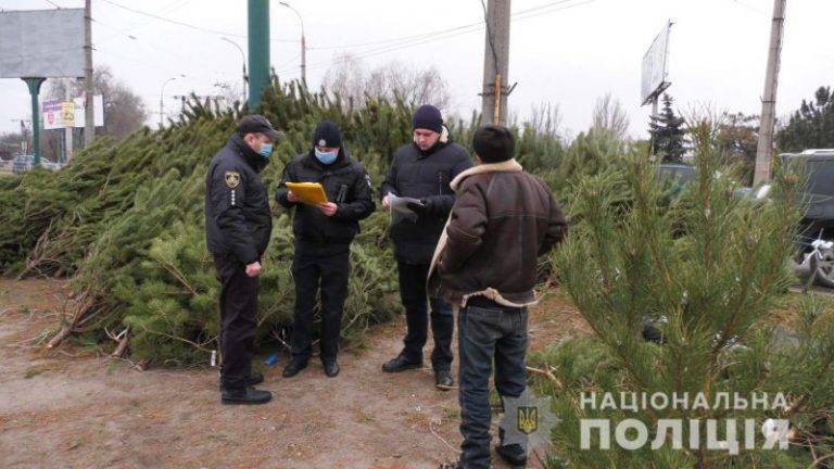 Прикарпатські поліцейські перевіряють законність передноворічного продажу хвойних дерев