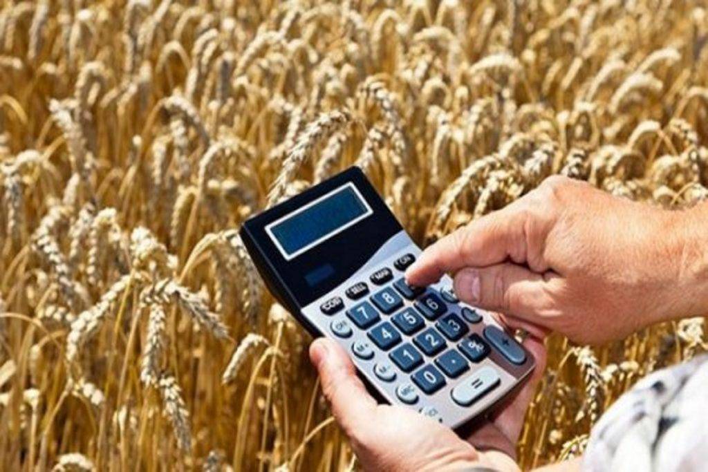 Прикарпатські аграрії збільшили обсяги виробництва сільськогосподарських культур