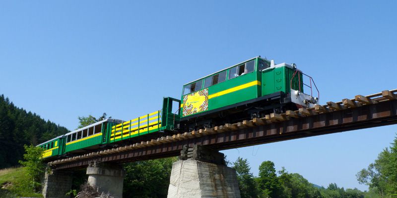 Карпатська вузькоколійка і довкола неї: відеоподорож з кабіни машиніста
