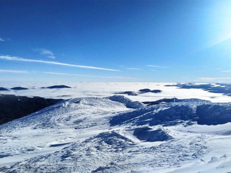 Ясно та безвітряно: у мережі показали фото з високогір'я Карпат