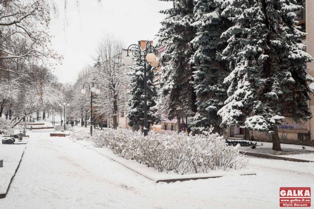 Івано-Франківськ оповився у снігову казку ФОТОРЕПОРТАЖ