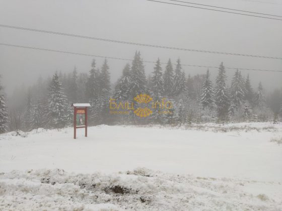 На Долинщині випав сніг ФОТОФАКТ