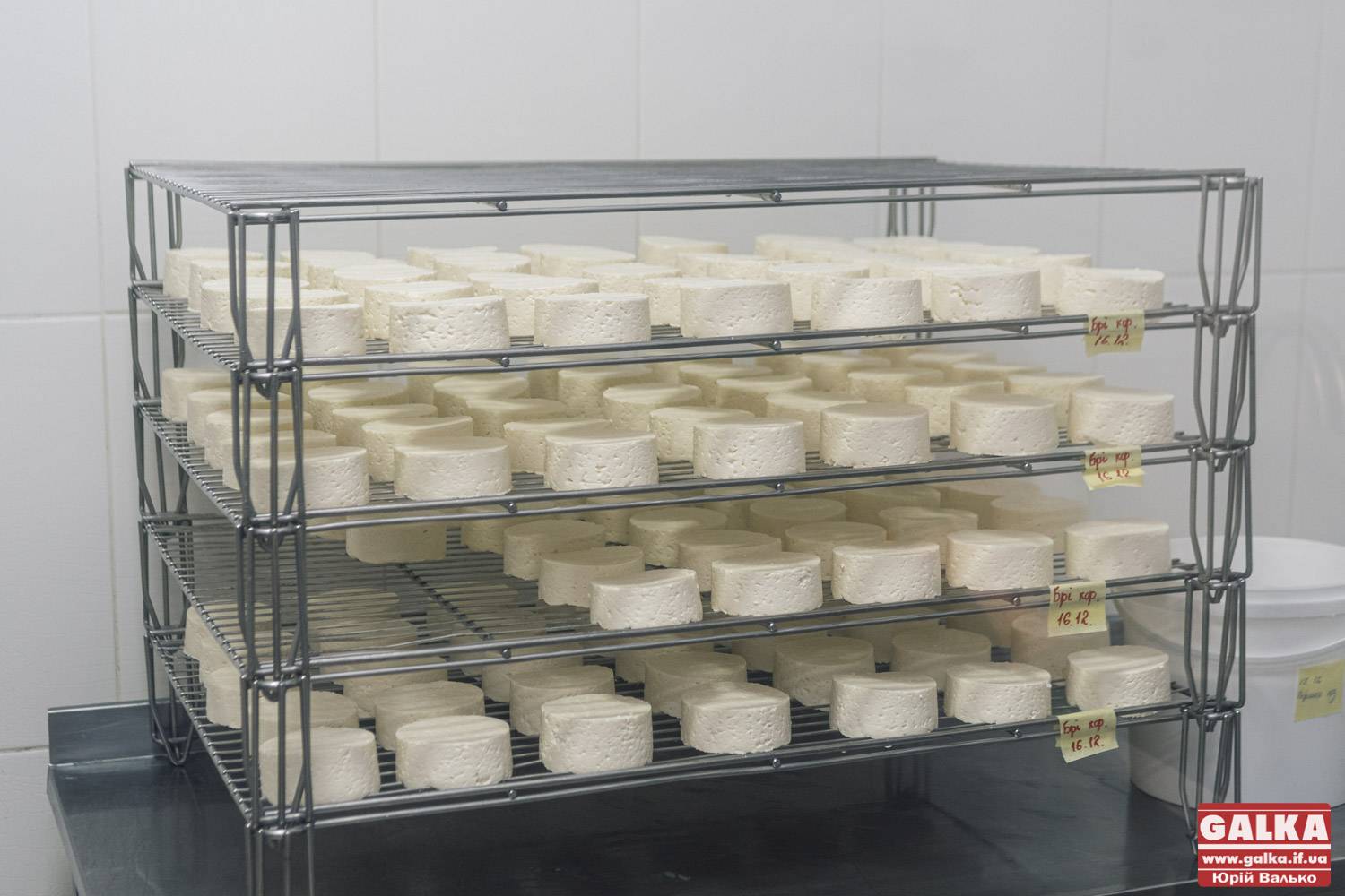 з козиного молока