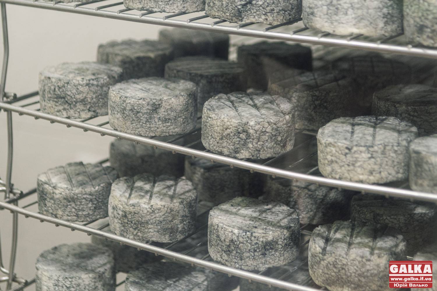 з козиного молока