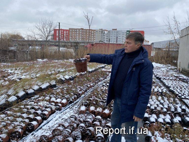 Як фермери з Луганська розвивають власну справу у Франківську ФОТО, ВІДЕО