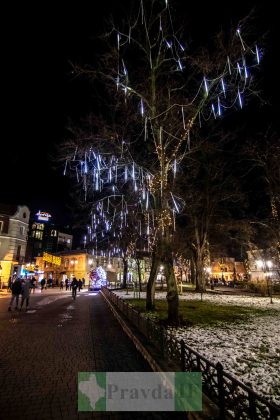 До свят готові: в Івано-Франківську засвітили головну ялинку ФОТО