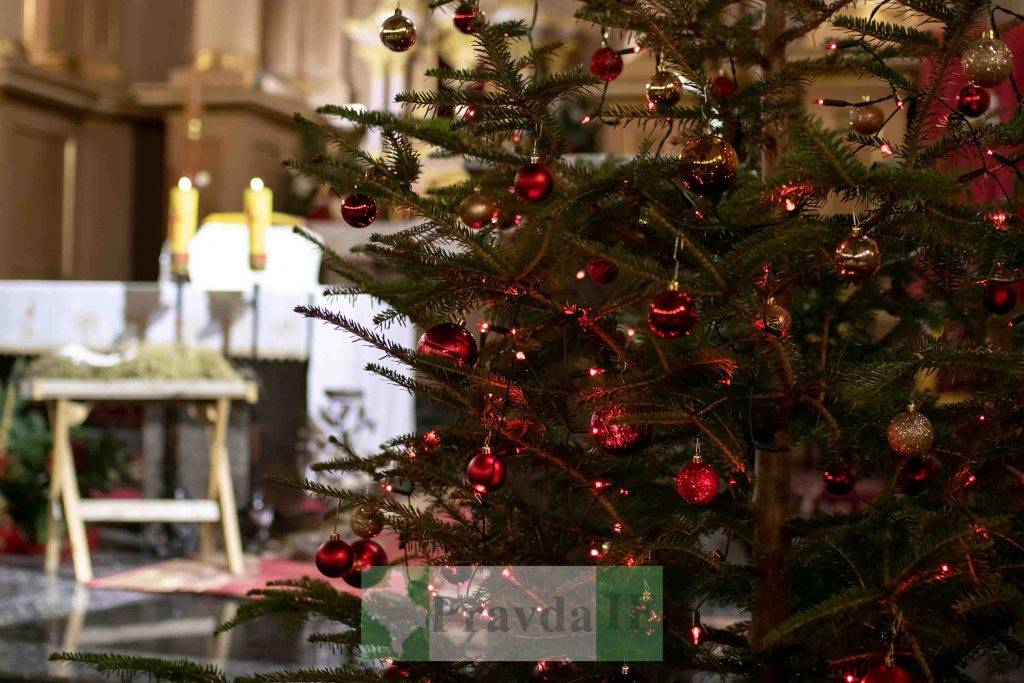 У франківському костелі