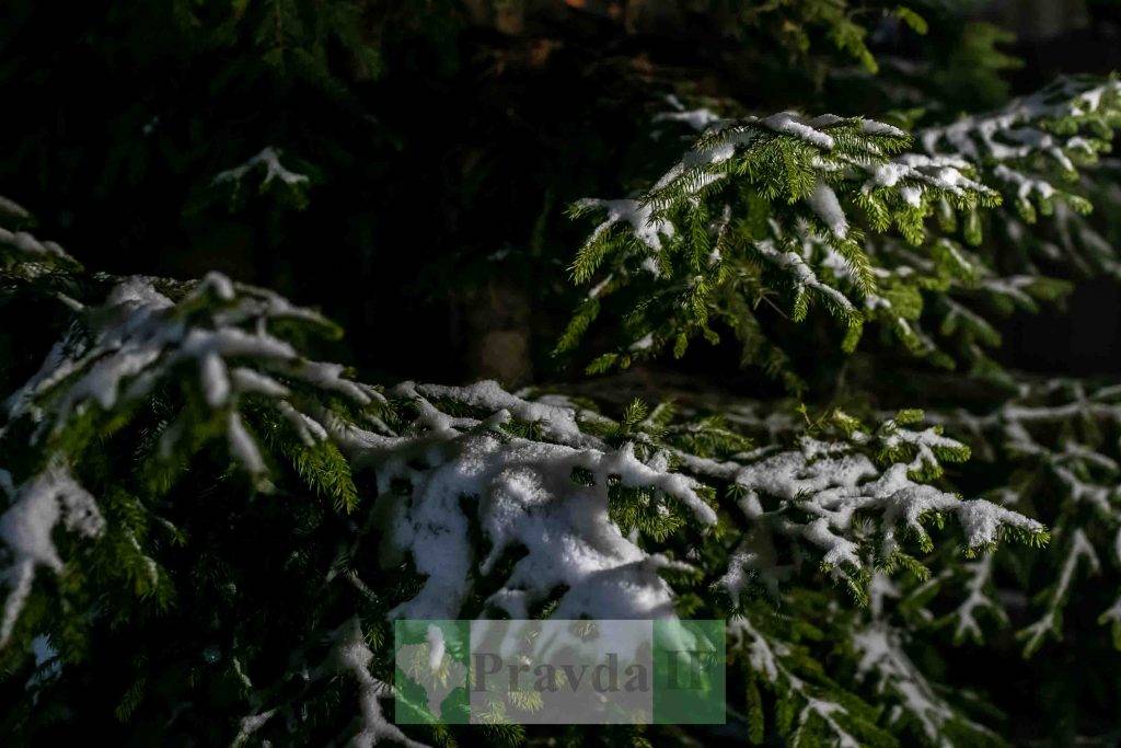 У франківському костелі