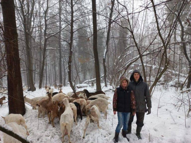 Кіз щодня обіймають і пестять: як двоє прикарпатських "диваків" приваблюють туристів ФОТО