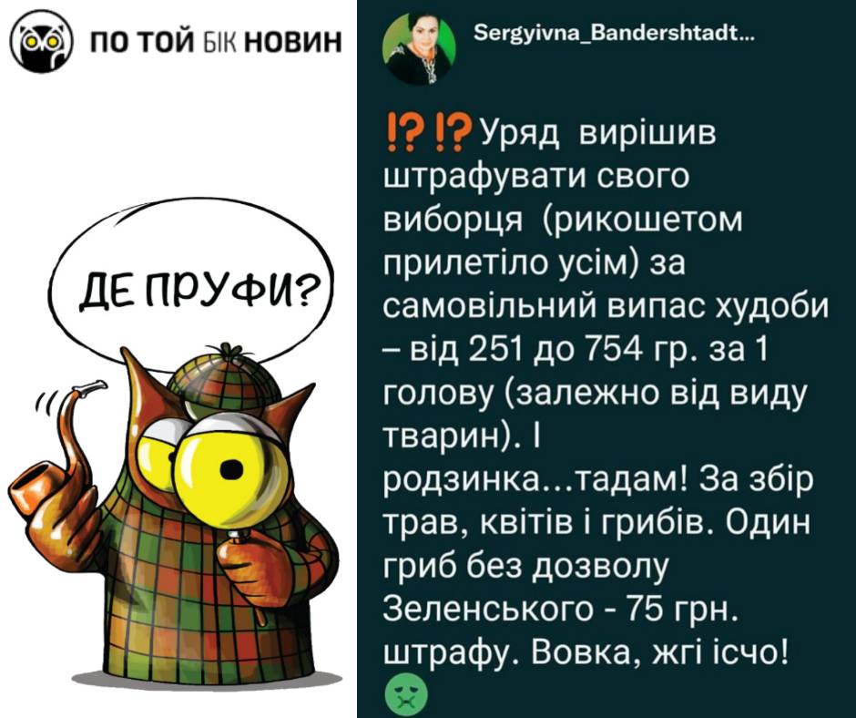 До уваги прикарпатців: збільшено штрафи за шкоду природно-заповідному фонду