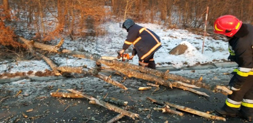 Розтрощене авто, повалені дерева та гілля на дорогах: шквальний вітер завдав чималої шкоди на Прикарпатті ФОТО