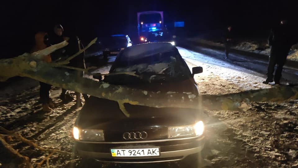 На Франківщині через сильний вітер дерево впало на припарковані автівки
