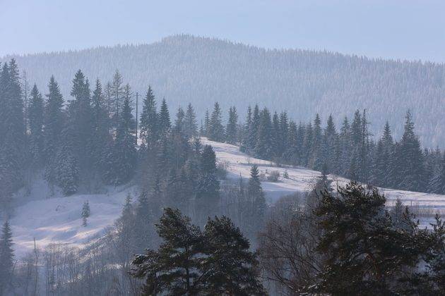 Неймовірні світлини засніжених Карпат ФОТОРЕПОРТАЖ