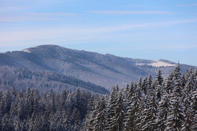 Неймовірні світлини засніжених Карпат ФОТОРЕПОРТАЖ