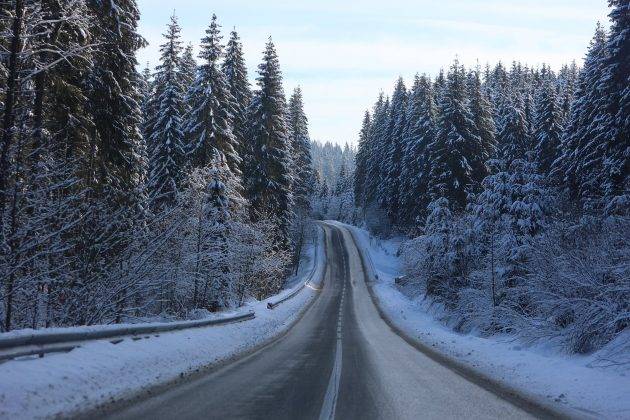 Неймовірні світлини засніжених Карпат ФОТОРЕПОРТАЖ