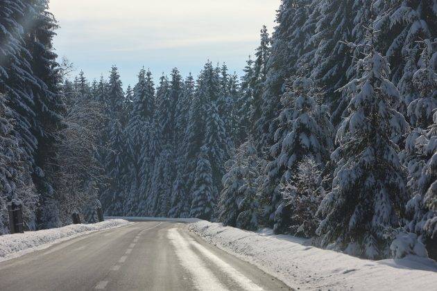 Неймовірні світлини засніжених Карпат ФОТОРЕПОРТАЖ