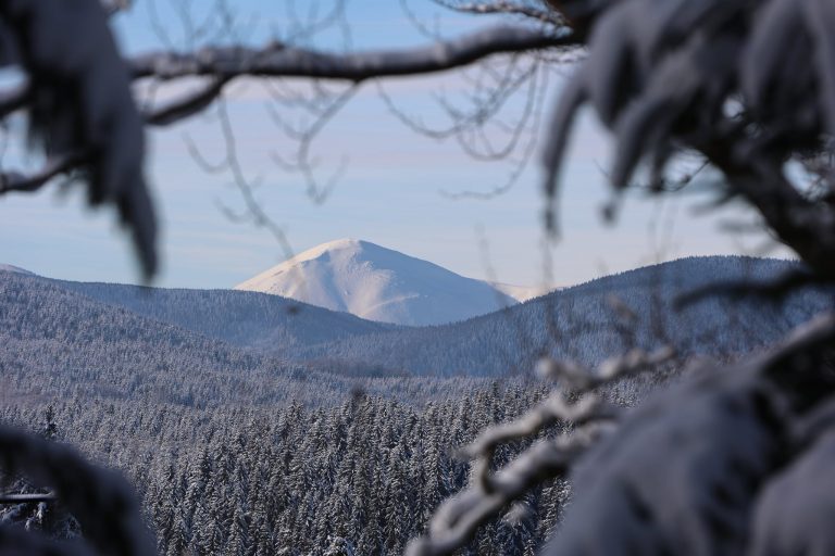 Неймовірні світлини засніжених Карпатах ФОТОРЕПОРТАЖ