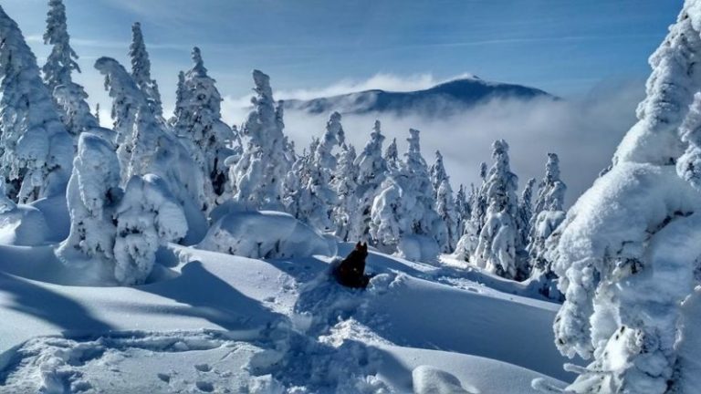 У Карпатах очікуються снігопади та значна сніголавинна небезпека ФОТО