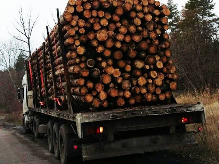 Чергова незаконна рубка на Франківщині: чоловік без дозволу вивіз деревини на 27 тисяч гривень