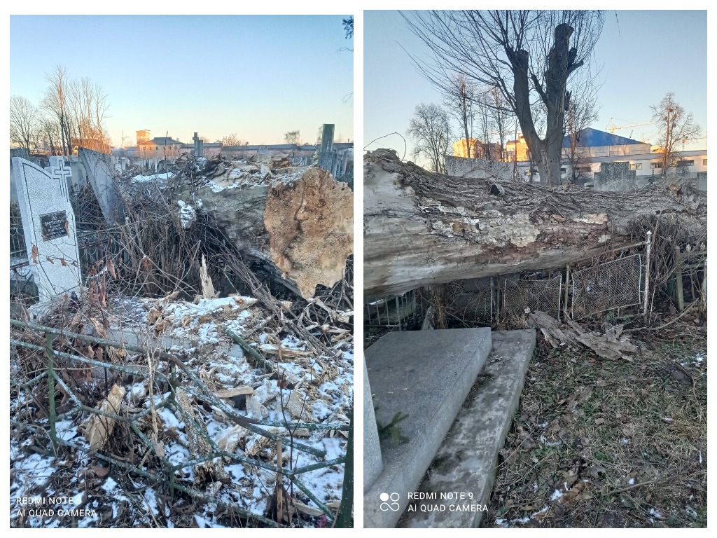 впало на могили та огорожі