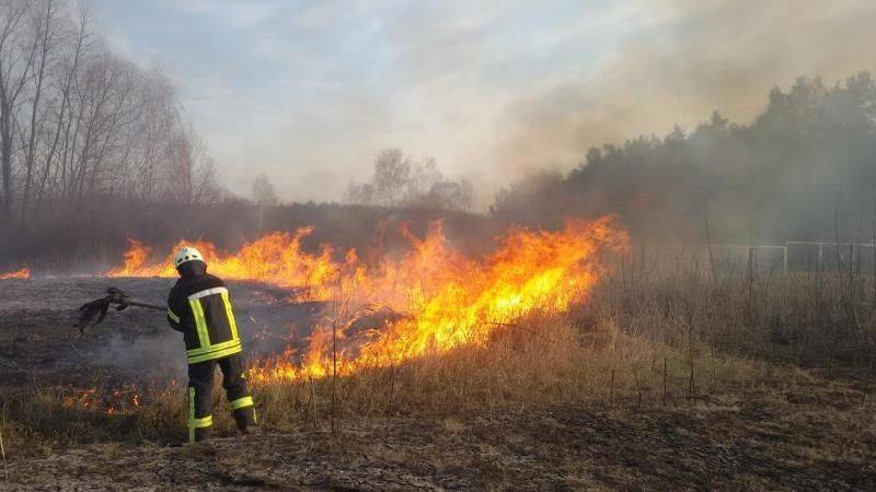 За минулу добу в Івано-Франківській області зареєстровано 25 пожеж, з них 18 в природних екосистемах