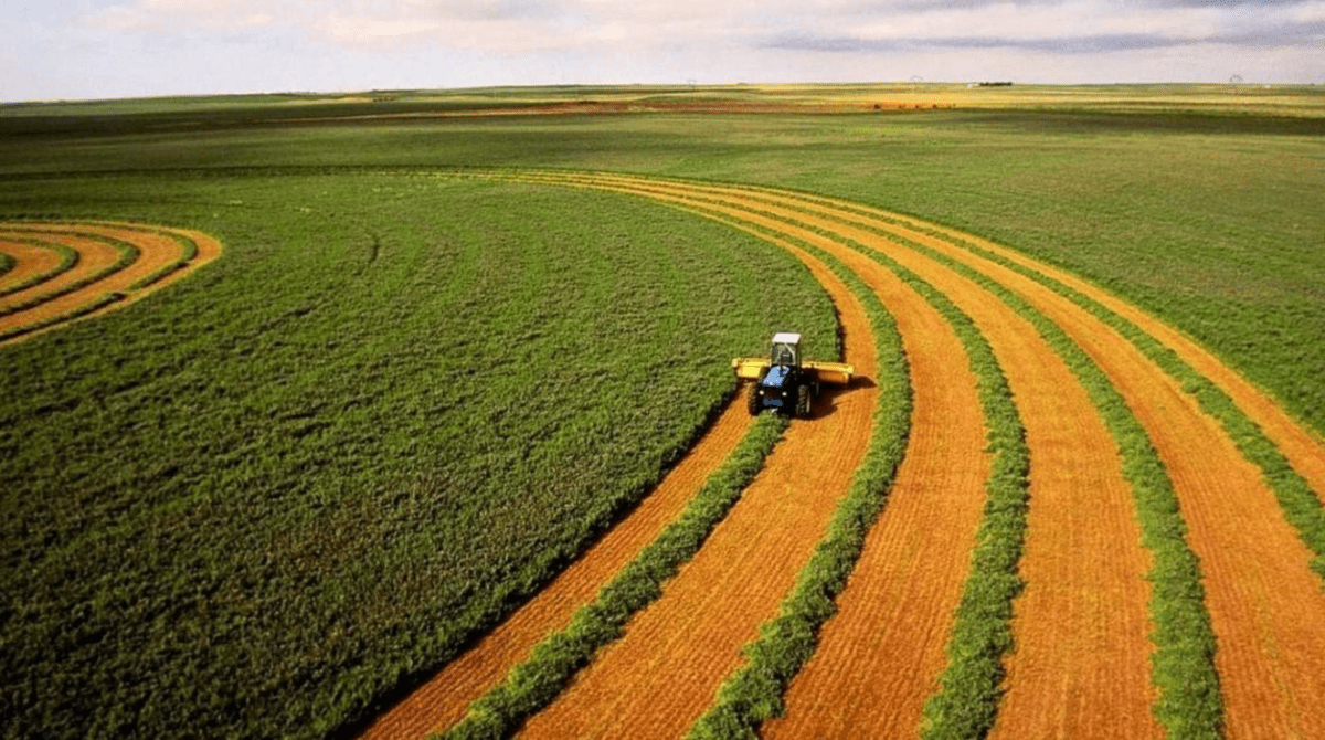 В Україні змінилися правила купівлі-продажу землі