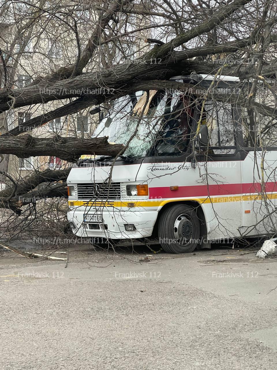 У Бурштині дерево впало на автівку ФОТОФАКТ