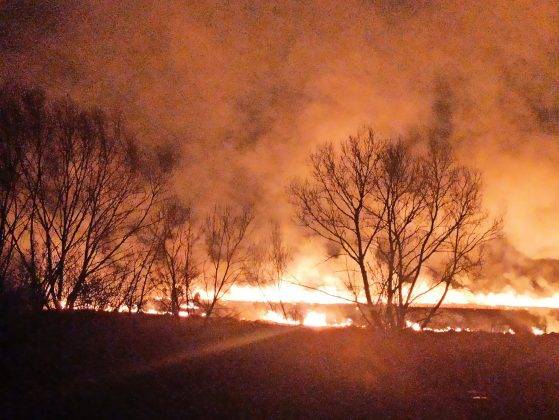 У Галичі здійнялася масштабна пожежа - горять поля ФОТО, ВІДЕО