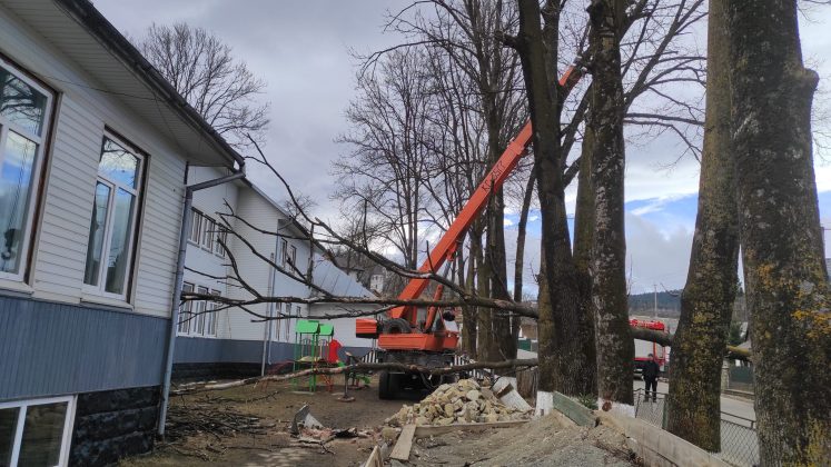 На Надвірнянщині сильний вітер повалив дерево на школу ФОТО