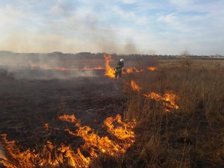 Минулої доби в Івано-Франківській області несвідомі громадяни знову підпалювали суху траву