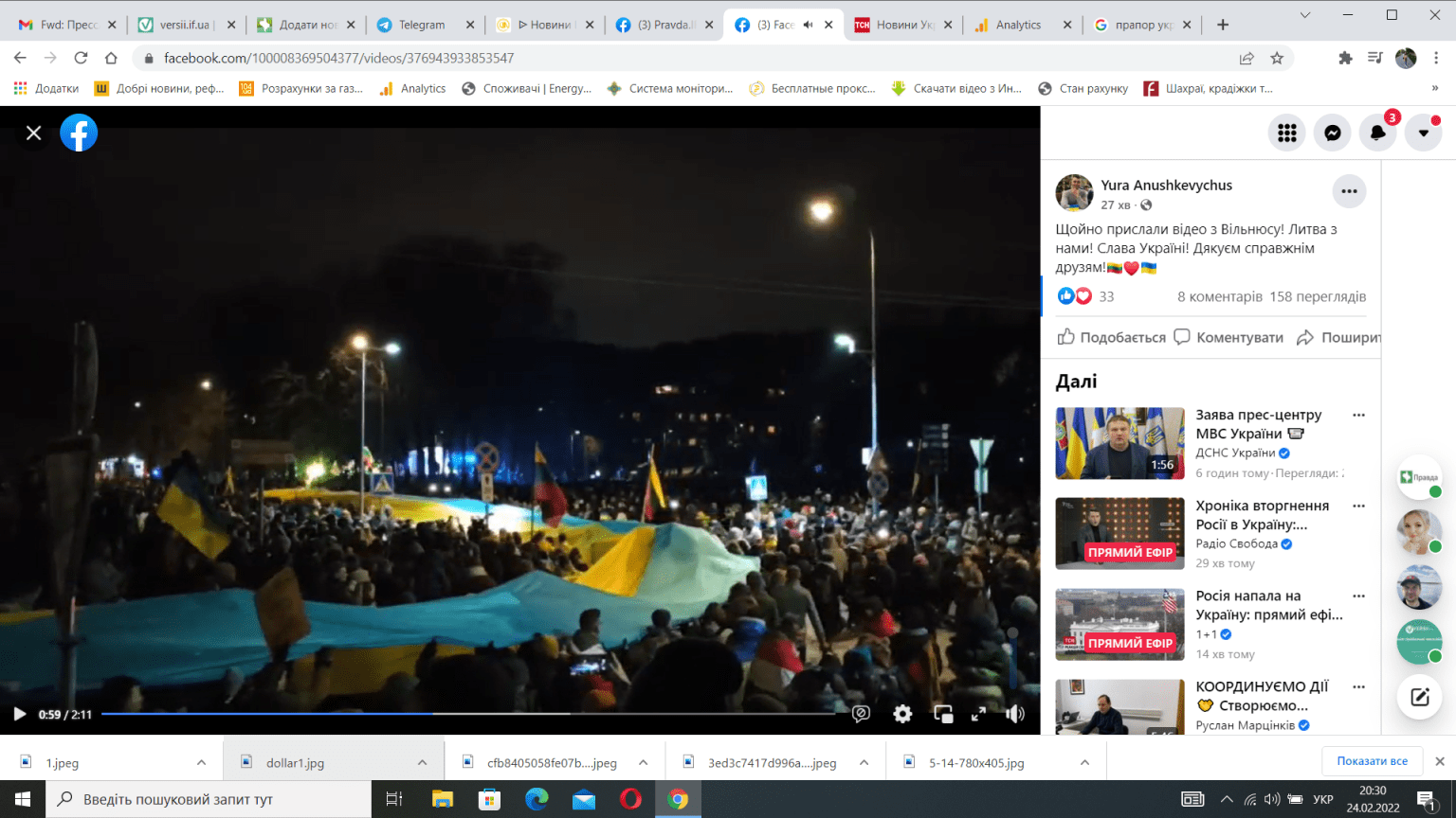 У столиці Литви пройшов мітинг на підтримку України ВІДЕО