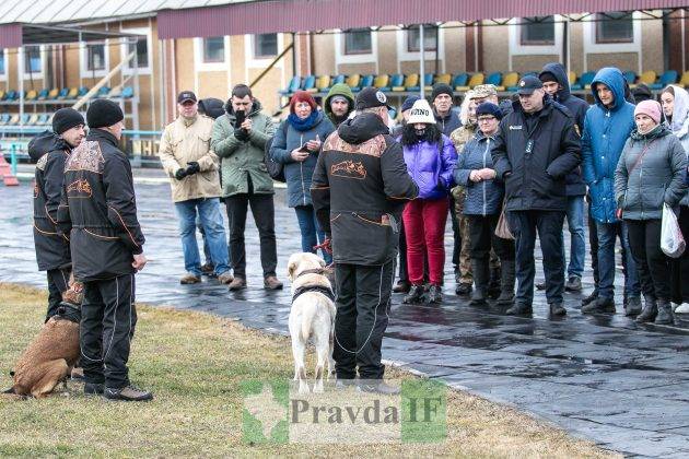 У Франківську відбувся третій відкритий вишкіл для цивільного населення ФОТОРЕПОРТАЖ