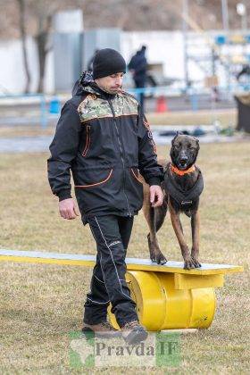 У Франківську відбувся третій відкритий вишкіл для цивільного населення ФОТОРЕПОРТАЖ