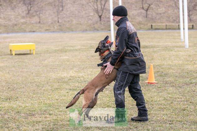 У Франківську відбувся третій відкритий вишкіл для цивільного населення ФОТОРЕПОРТАЖ