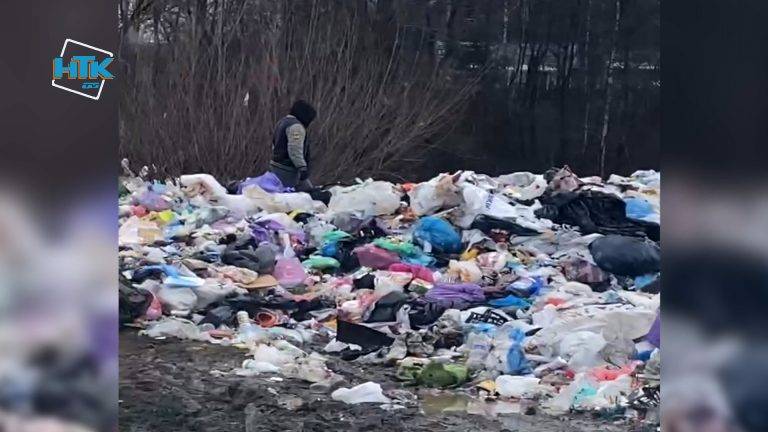 Повсюди сміття та нестерпний сморід: мешканці села у Косівському районі масово нарікають на наслідки від сміттєзвалища ВІДЕО