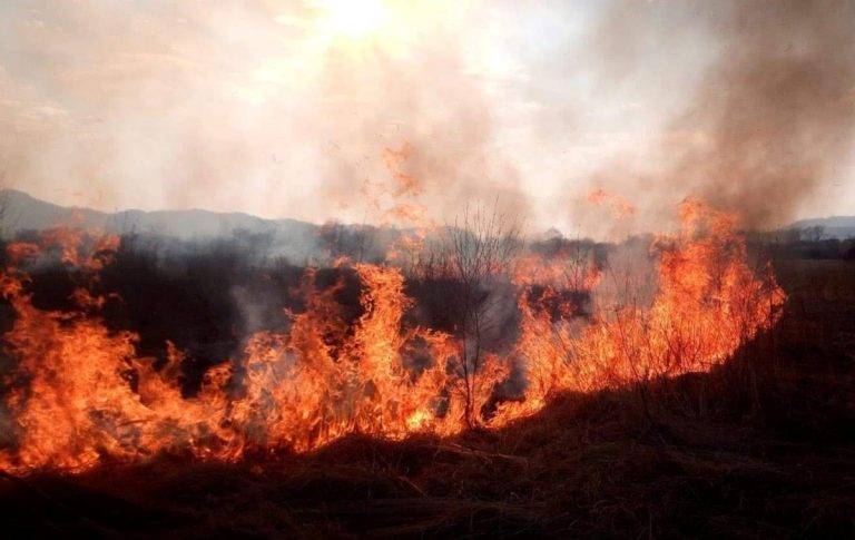 На Франківщині здійнялася масштабна пожежа - горить суха трава ВІДЕО