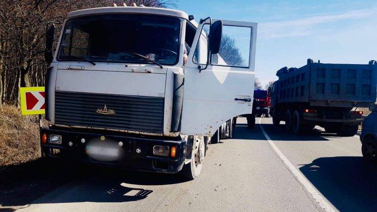 На Франківщині легковик влетів у вантажівку - двоє киян загинули ФОТО
