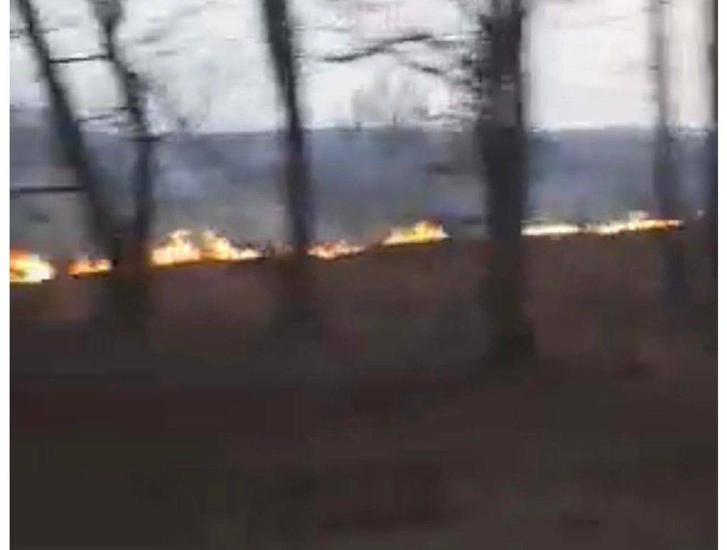 На Франківщині здійнялася масштабна пожежа - горить суха трава ВІДЕО
